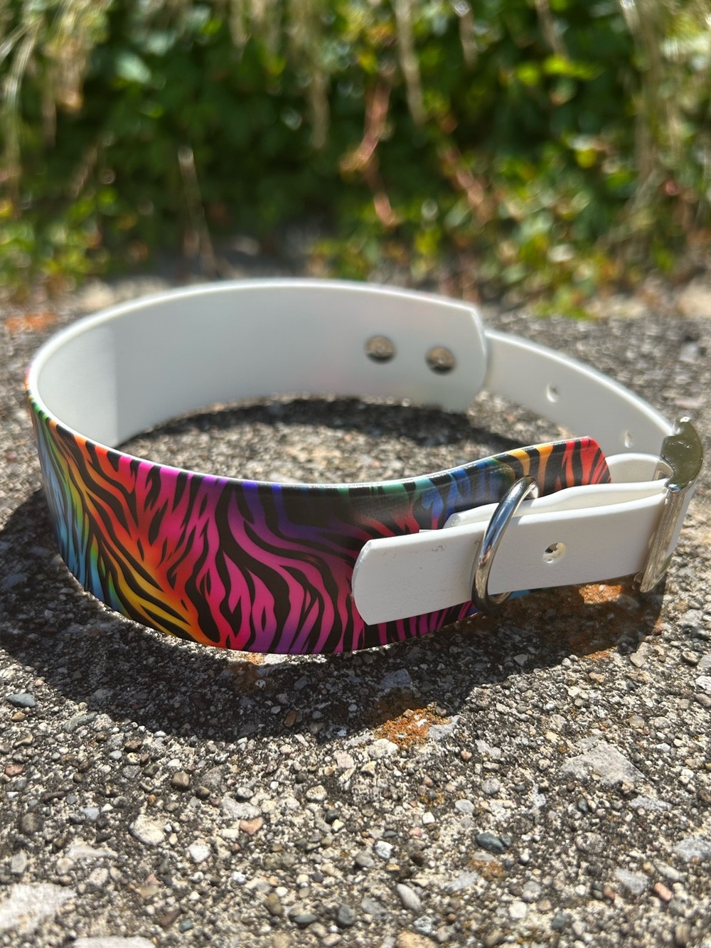 Biothane Collar -L8